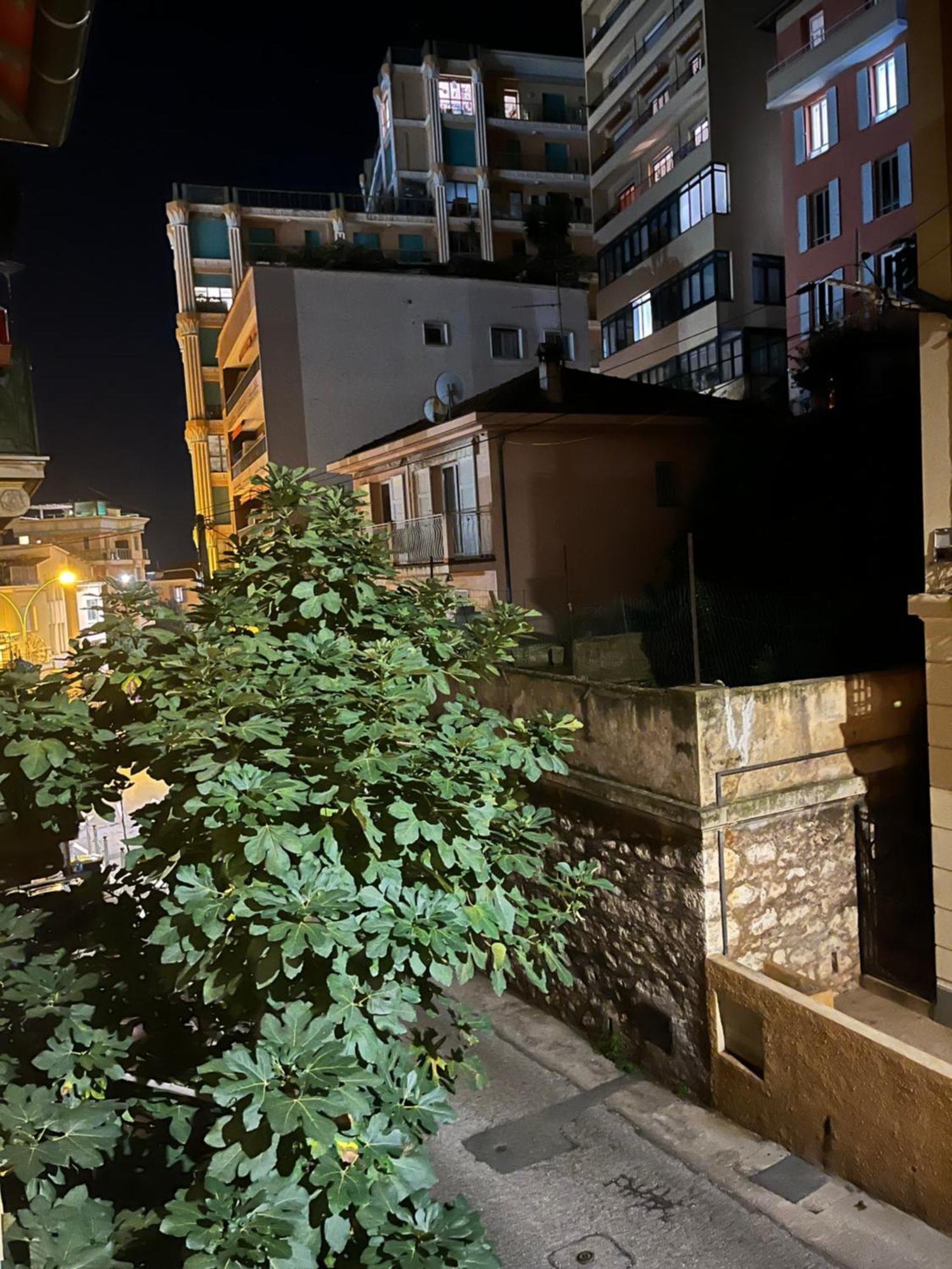 보솔레이 Duplex A La Frontiere De Monaco 아파트 외부 사진